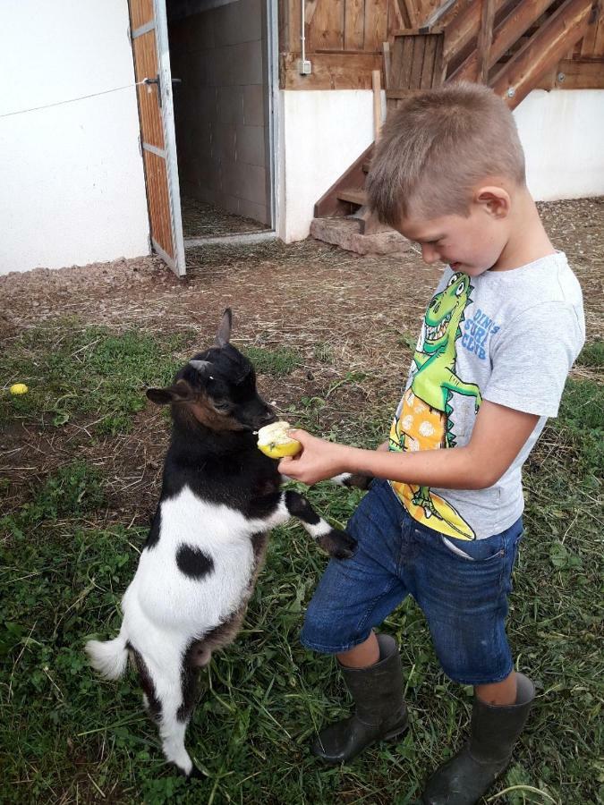 Gasserhof Chalets Meltina Zewnętrze zdjęcie